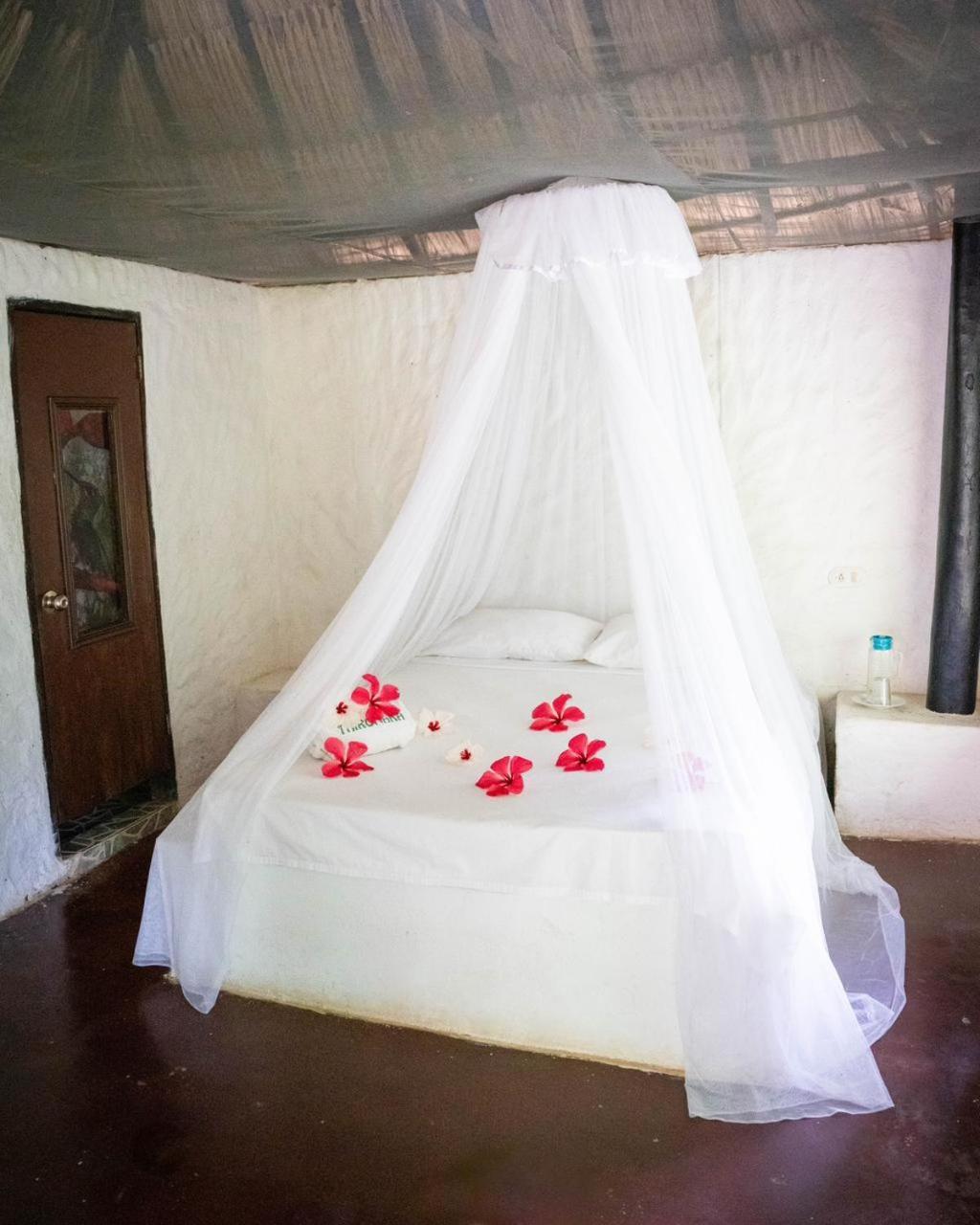 Taironaka Eco Hotel Don Diego Bagian luar foto