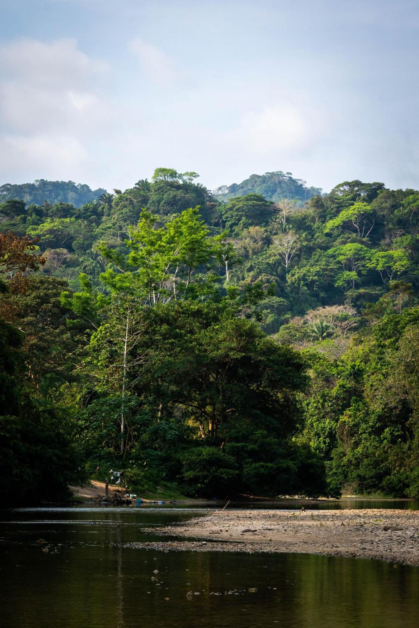 Taironaka Eco Hotel Don Diego Bagian luar foto