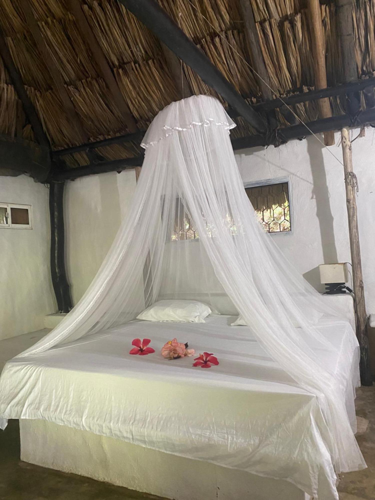 Taironaka Eco Hotel Don Diego Bagian luar foto