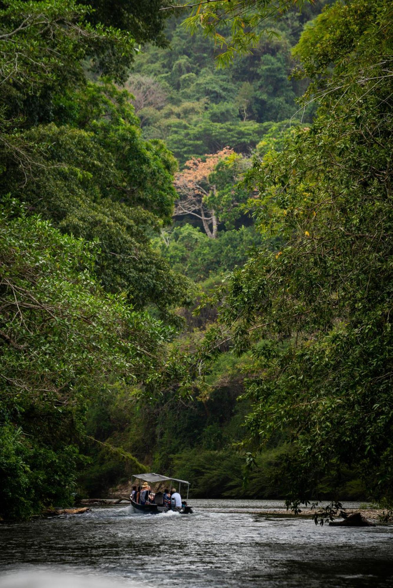 Taironaka Eco Hotel Don Diego Bagian luar foto