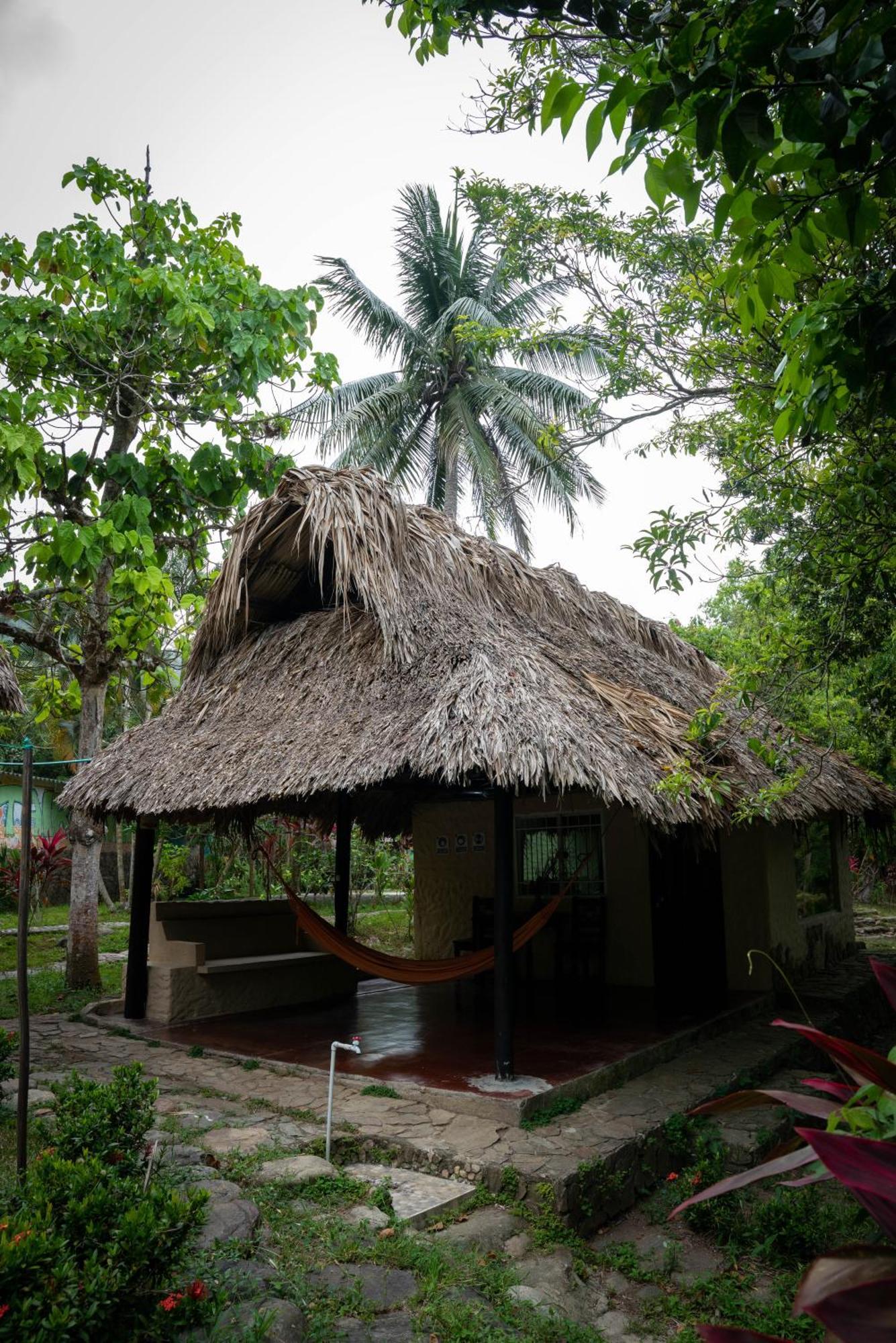 Taironaka Eco Hotel Don Diego Bagian luar foto